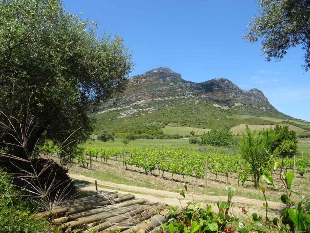 Jardin Et 2 Chambres Centre St Florent Saint-Florent  Exterior photo